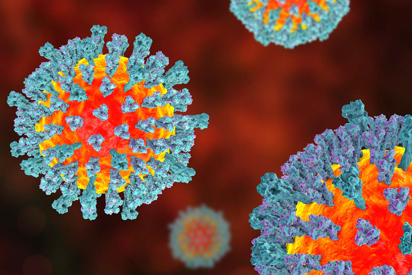 Measles virus illustration, Measles: What It Looks Like and Why It Still Matters